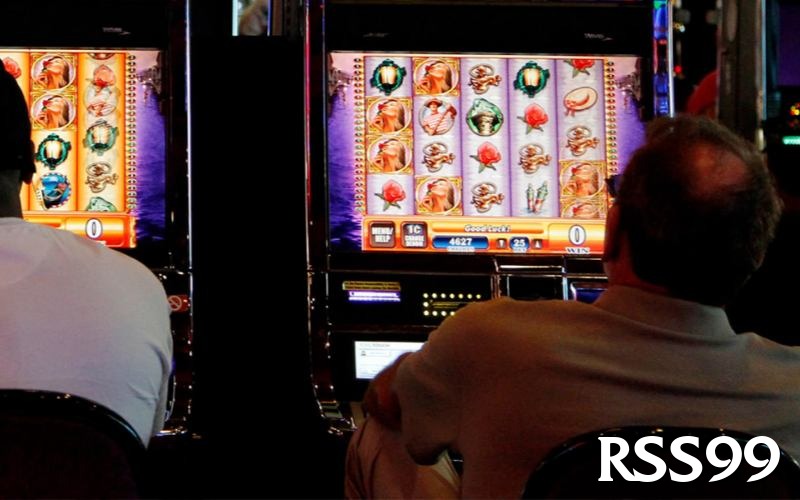 rss99 🇵🇰 Inclusive Design – For All Regions of PK ✨ - rss99 - designed with Islamic values in mind