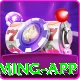 sun999 VIP Gaming App